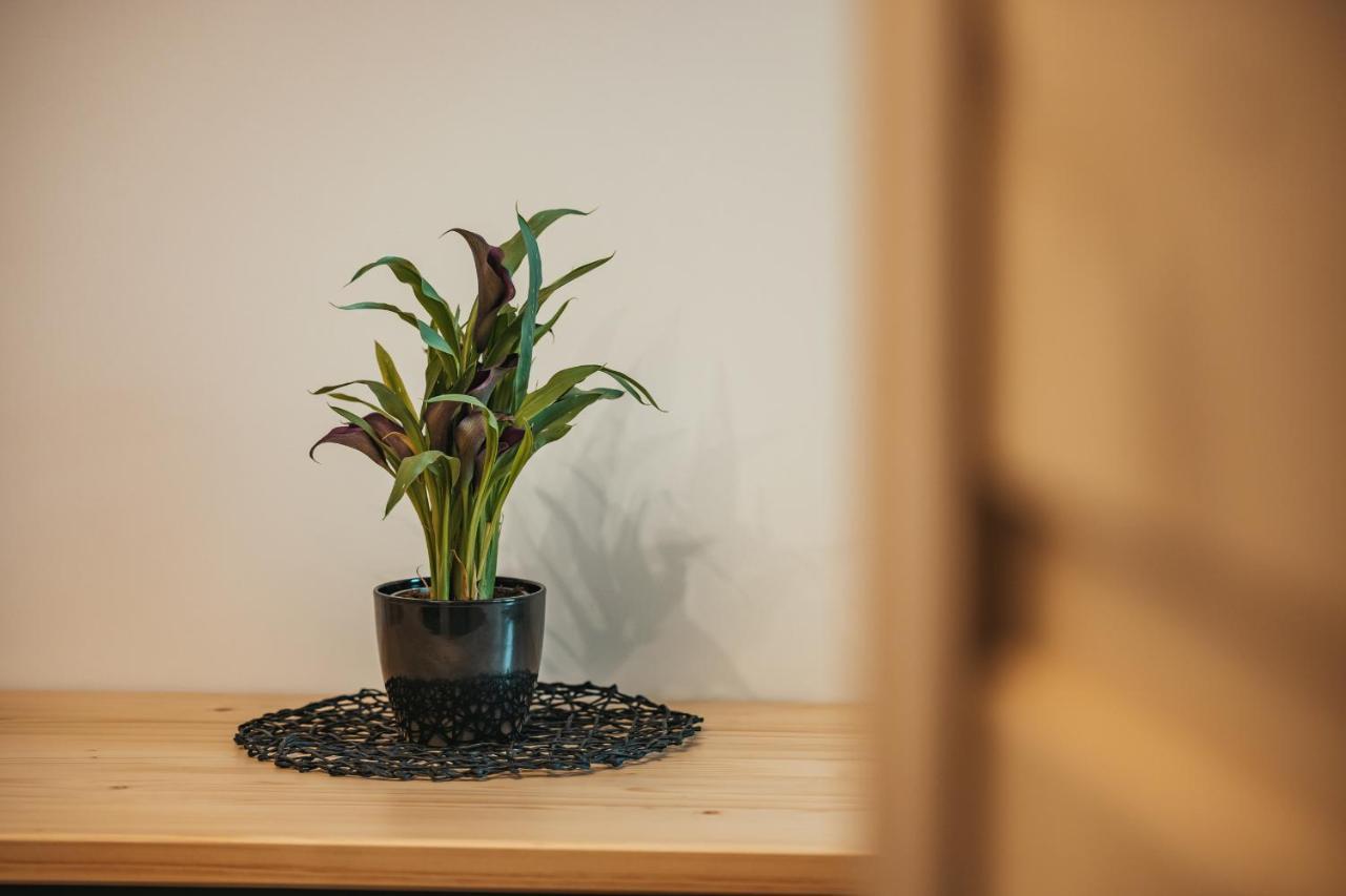 Wierchowe Apartamenty Leśnica Extérieur photo