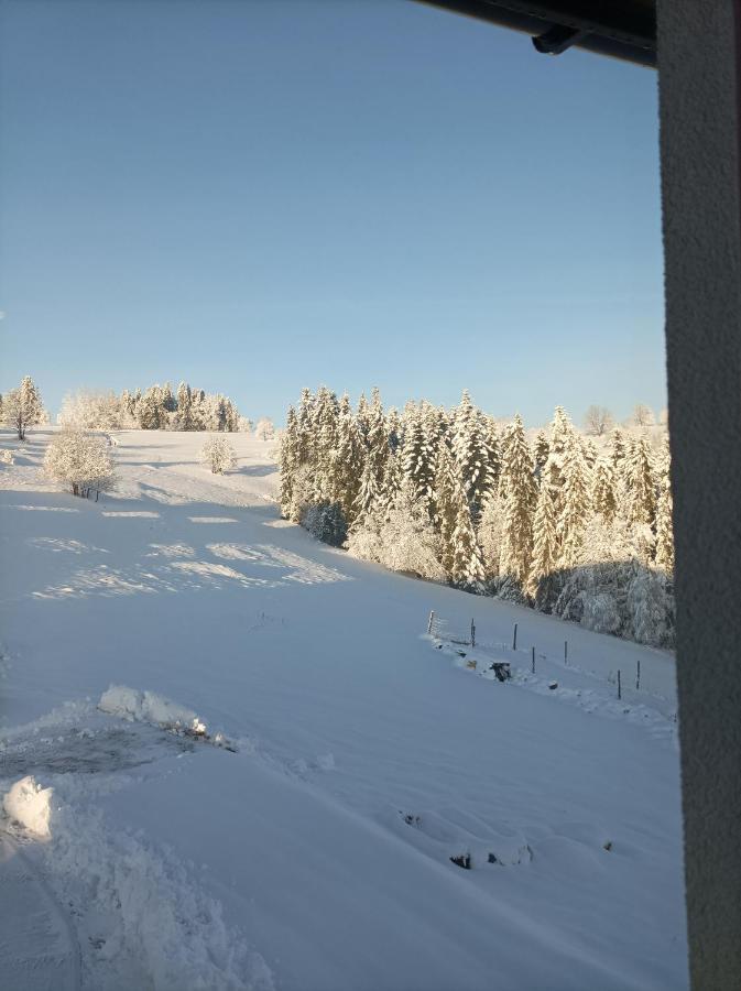 Wierchowe Apartamenty Leśnica Extérieur photo